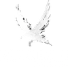 RavenHaus Publishing